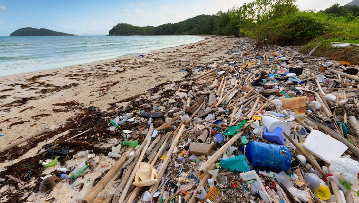 According to the Ellen MacArthur Foundation, there are more than 86 million tonnes of plastics in the oceans, with up to 12 million tonnes added each year